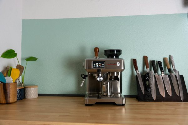 5 Plantes Exceptionnelles pour Sublimer Votre Treillis de Jardin